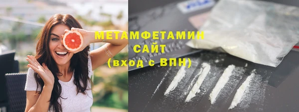 PSILOCYBIN Бородино