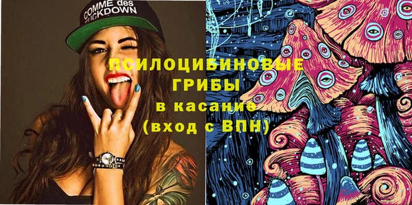 PSILOCYBIN Бородино