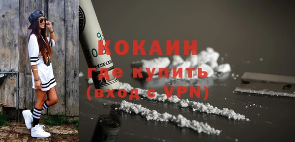 PSILOCYBIN Бородино