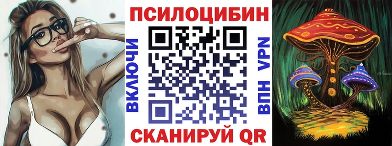где продают   Минеральные Воды  Псилоцибиновые грибы Cubensis 